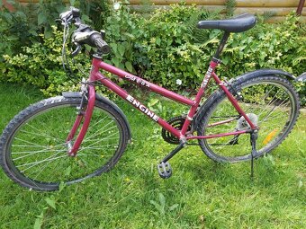 Damske horske bicykle - 2