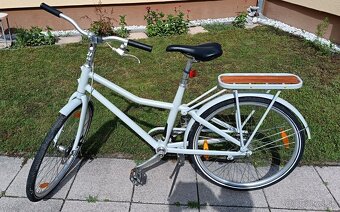 Bike Dynamax - 2