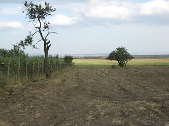 Záhrada Veľké Ludince - 2