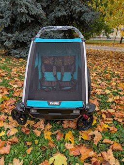 Thule chariot lite 2 - 2