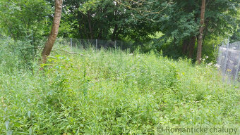 Záhrada pri lesíku na predaj Holíč - 2