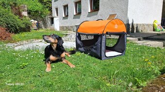 Prepravný box pre psa 4pet - 2