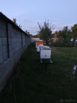 Včely a vybavenie - 2