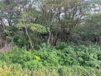 Pozemok s ruinami domu na samote - 2