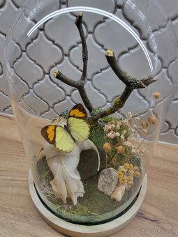 Prírodná dioráma  - 2