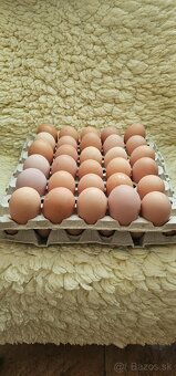 Domáce vajcia - 2