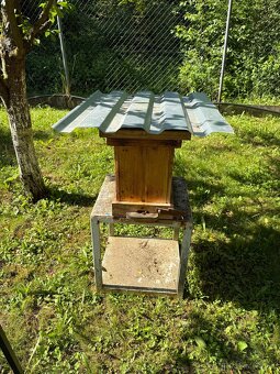 Odchytený roj - 2