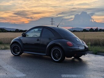 VW New Beetle - 2