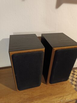 Tannoy m1 - 2