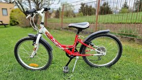 Detský bicykel DEME AGGY 20" - 2