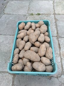 Predám zemiaky - 2
