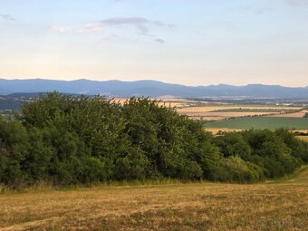 Predam pozemok Moravske Lieskove 5600m2 - 2