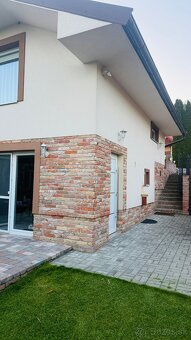 Nadstandardna klimatizovana chata v Trnave pri Laborci - 2