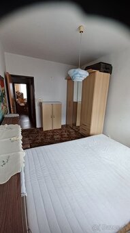 Prenajmem izbu - 2