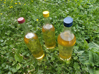Bazovy Sirup - 2