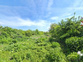 NA PREDAJ pozemok Moravany nad Váhom - 2