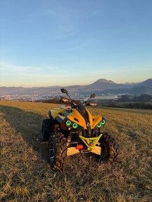 Can am renegade 800 - 2