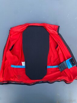 Chránič chrbtice Dainese - 2