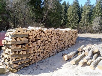buková guľatina - vláknina, palivové drevo - 2