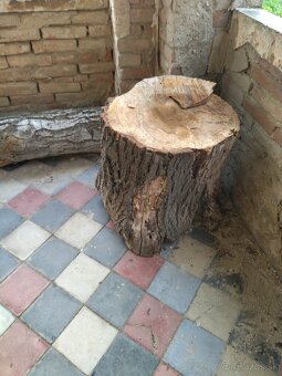 Predám orechové kmene - 2