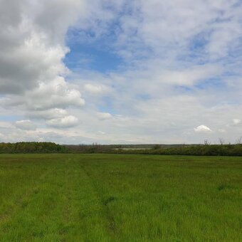 Pôda na poľnohospodárske účely. Budmerice - 2