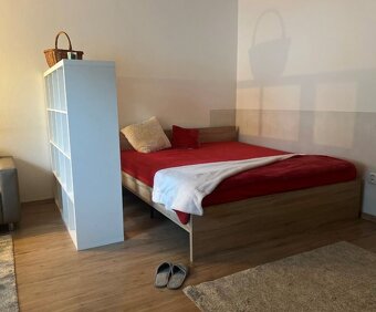 Prenájom 1 izbového bytu s predzáhradkou a parkovacím miesto - 2