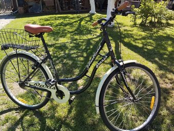 Dámsky bicykel - 2