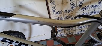 Damsky bicykel - 2