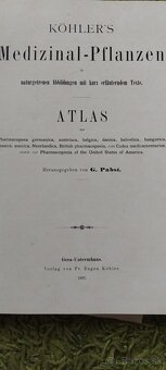 Köhler’s Medizinal-Pflanzen - 2