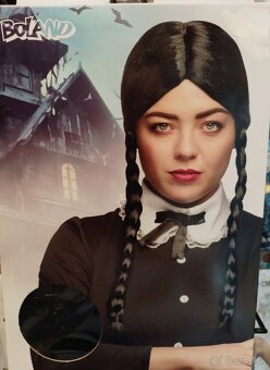 Karnevalové kostýmy - 2