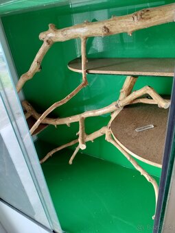 Terarium - 2