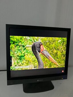 Neovo monitor - 2