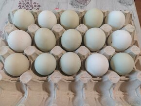Nasadove vajcia - 2
