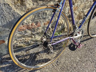 Favorit 1992 spprt plus - 2
