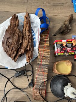 veci po chove agamy bradatej - 2