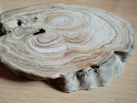 Predám rez z kvapľa - 2