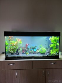 Predám akvarium juwel 180lit - 2