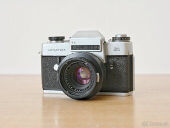 Leicaflex SL / Summicron 50mm f2 (2-CAM) - 2