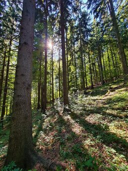 📍 Stavebný rekreačný pozemok – Čertov - 2
