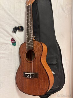Ukulele - 2