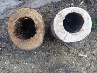 Kvetináče MASÍV smrek - 2