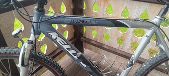 Kellys Quartz RST - 2