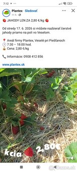 Višne Bio - 2
