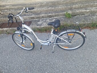 Prophete ebike100 - 2