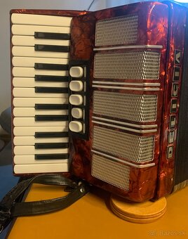 Delicia Junior XIII - 2