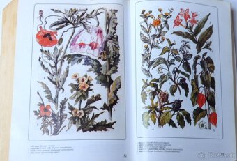 Matthioli - Herbář - sv.3 - 2