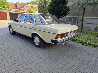 Mercedes w123 - 2