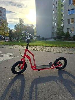 Kolobežka Arcore Rakoon - 2
