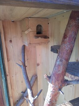 Drevená klietka - 2