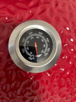 Pintinox BBQ Luxury Gril - 2